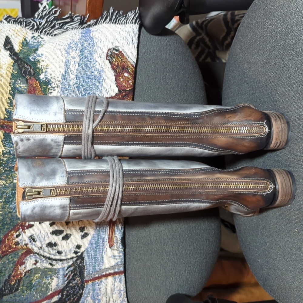 Freebird Raphael - Picture 5 of 6